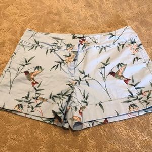 New York & Company 7th Ave Design Studio Shorts